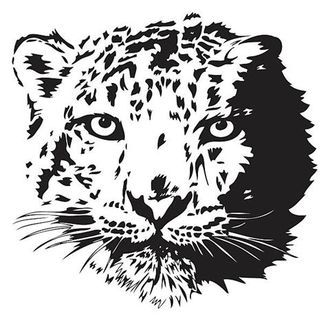 Download Royalty Free Snow Leopard Clip Art, Vector Images ...