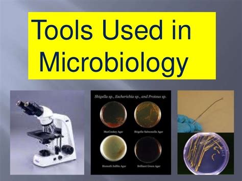 Bio 127 Lec 2 Microbiology Tools Used In Microbiology