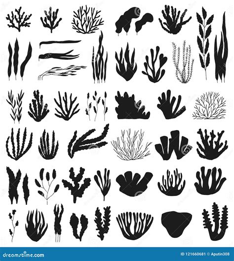 Corals And Algae Large Vector Silhouette Set Isolated On White Stock