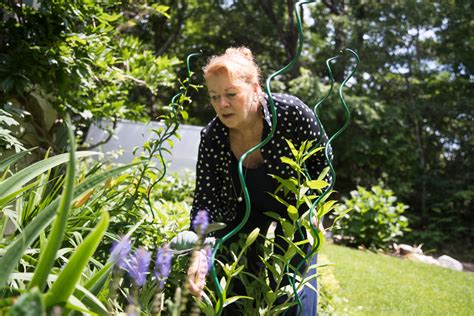 The top valentine's day flowers to send are: Gardens of Love: Jaime Hamlin | BridesNews