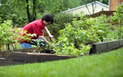 10 Autumn Gardening Tips To Transform Your Yard Greener Ideal
