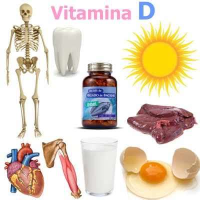 Vitamina D Qu Es Para Qu Sirve Beneficios Y Donde Se Encuentra The