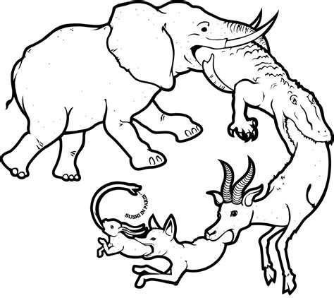 Food Chain Drawing At Getdrawings Free Download