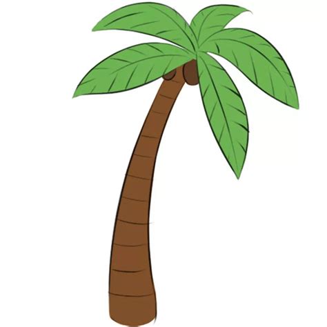 How To Draw A Palm Tree Summeractor