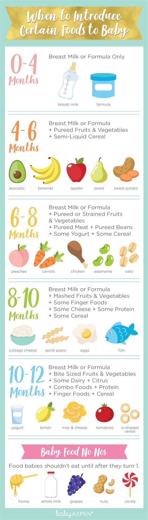 When To Introduce Certain Foods To Baby Infographic Baby
