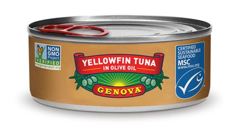 There are 120 calories in 1 drained (2 oz) of cento tuna in olive oil. Canned Yellowfin Tuna in Olive Oil | Genova Seafood