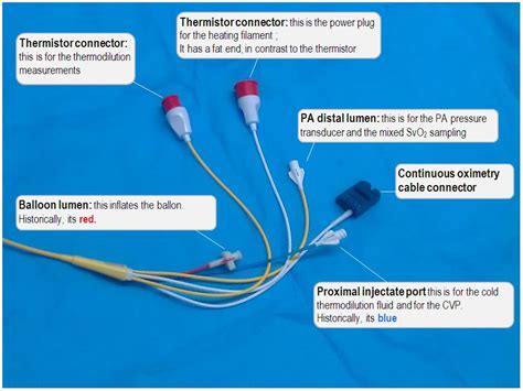 Anatomy Of The Pulmonary Artery Catheter Unianimal