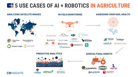 Ai Robotics And The Future Of Precision Agriculture Cb Insights