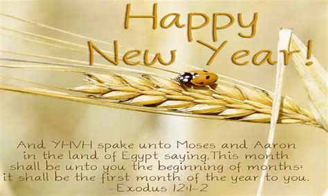Happy New Year Christian Images 2023 Quotesprojectcom