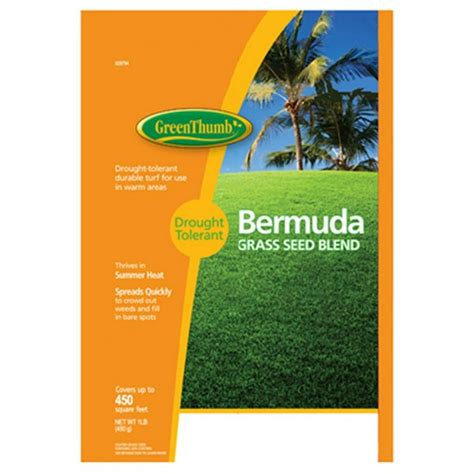 Barenbrug Usa Gt1berm Lb Unhulled Bermuda Grass Seed