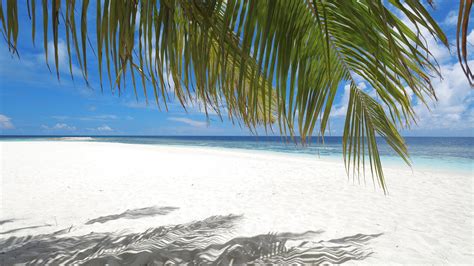 Užijte si dovolenou na plno a za skvělou cenu. Maledivy - dovolená 2021: svátky, zájezdy, all inclusive ...
