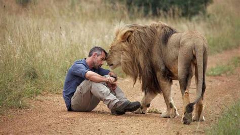 Lion Whisperer Devastated After Woman Mauled By Lioness