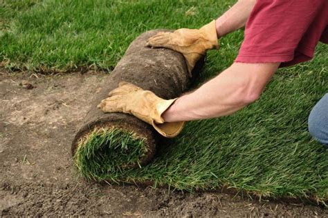 7 Very Important Tips For Installing A Sod Lawn Correctly…