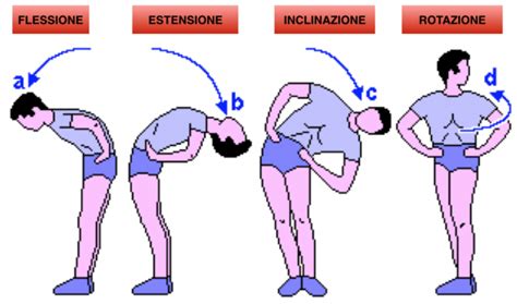 Sacralizzazione Ed Emisacralizzazione Lombare