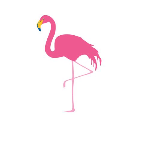 Flamingo Png Hd Png Pictures Vhvrs