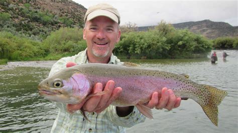 Where To Fly Fish On The San Juan River New Mexico Maps Flies And