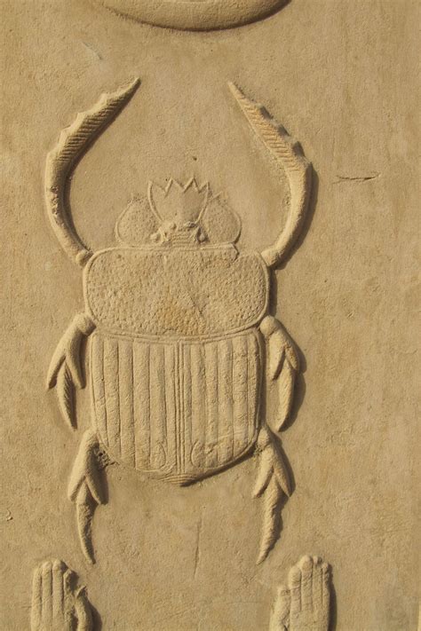 Egypt Museum The Scarab Beetle Khepri Is A Sign Of Transformation