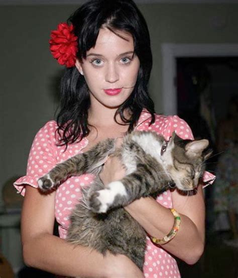 How Many Cats Does Katy Perry Have Poc