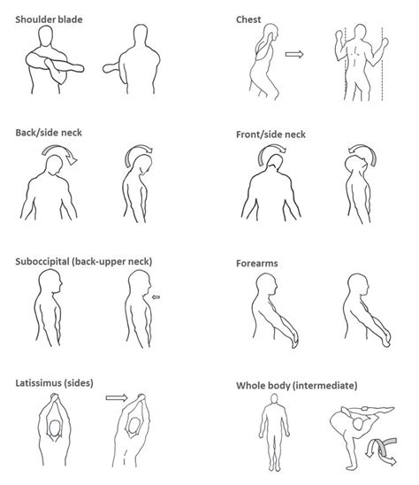 9 Best Images About Upper Back Stretches On Pinterest Lower Backs