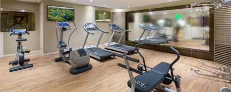 Lê bống là cái tên khá nổi tiếng trên mạng xã hội. fitness center