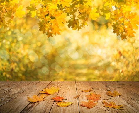 Autumn Photography Backdrop Bokeh Yellow Leaves Wood Floor Background