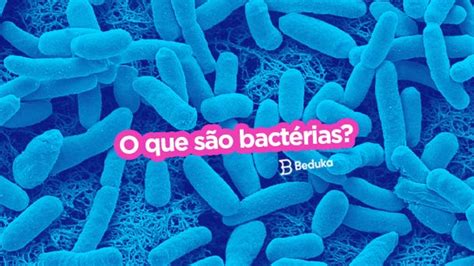 Bactérias O Que São Estrutura Locomoção Reprodução E Importância