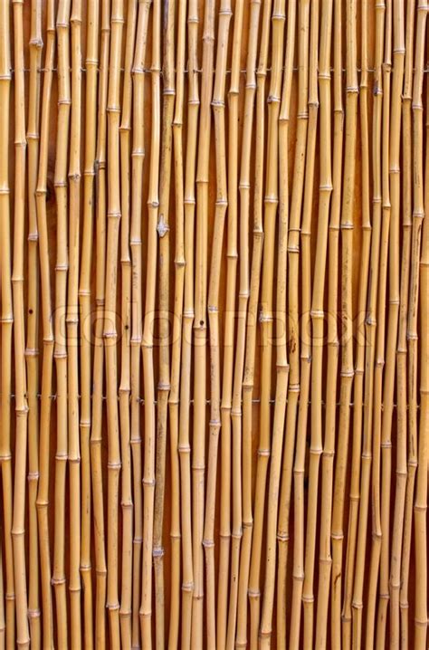 Natural Detailed Bamboo Texture Stock Image Colourbox
