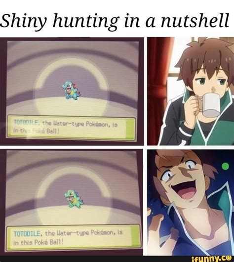 Shiny Hunting In A Nutshell Ifunny Pokemon Funny Pokemon
