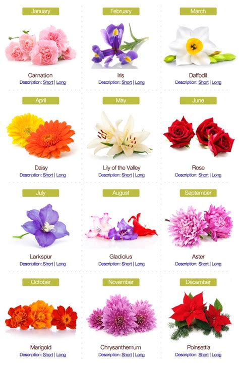 What Is Your Birth Flower Jadorelyon