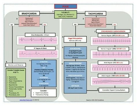 Many things can cause tachycardia like fever, shock, medications, stress, metabolic dysfunction, or damage to the heart muscle and hypoxemia to name a this can cause a decrease in cardiac output, poor perfusion and hemodynamic instability. ACLS Bradycardia and Tachycardia Algorithms (Based on AHA 2010 Guidelines) www.HSSLearningCenter ...