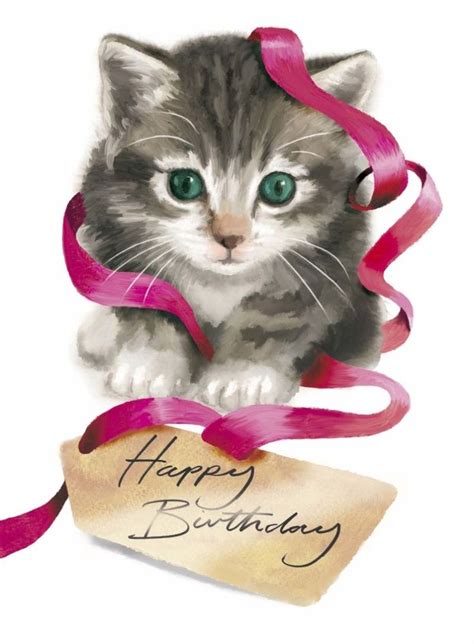 Happy Birthday Images With Kittens💐 — Free Happy Bday Pictures And