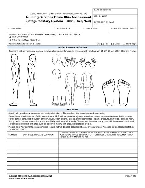 Head To Toe Printable Nursing Assessment Form Template Printable Form