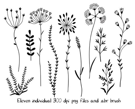 Wildflowers Clipart And Stamps Digital Clipart Clip Art Etsy Doodle