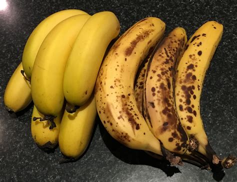 Bananas Green Or Ripe Bunch