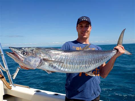 Light Tackle Sports Fishing Fishing Cairns