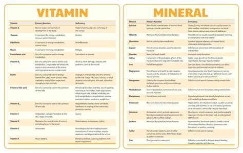 Printable Vitamin And Mineral Deficiency Symptoms Chart In 2022