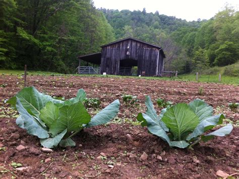Check spelling or type a new query. Healthy Soil= Healthy Garden= Healthy People ~ Grow Appalachia