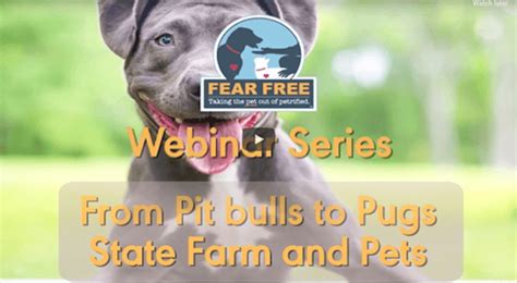 Fear free's mission is to prevent and alleviate fear, anxiety, and stress in pets by inspiring and educating the people who c. Webinars | Fear Free Pets