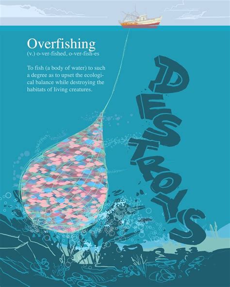 Overfishing Destroys Fish Populations And Habitats Conservacion De