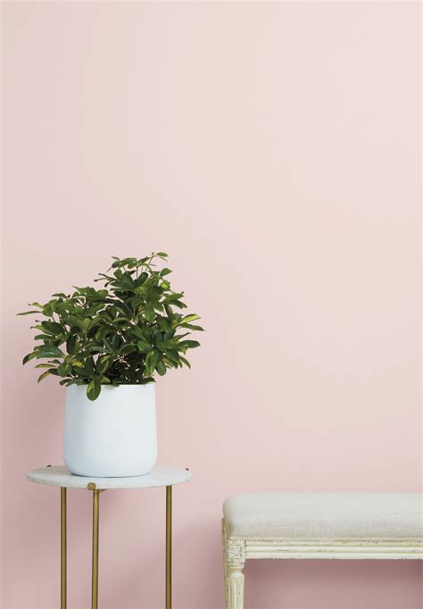 Light Pink Paint Pink Paint Colors Bedroom Paint Colors Light Pink