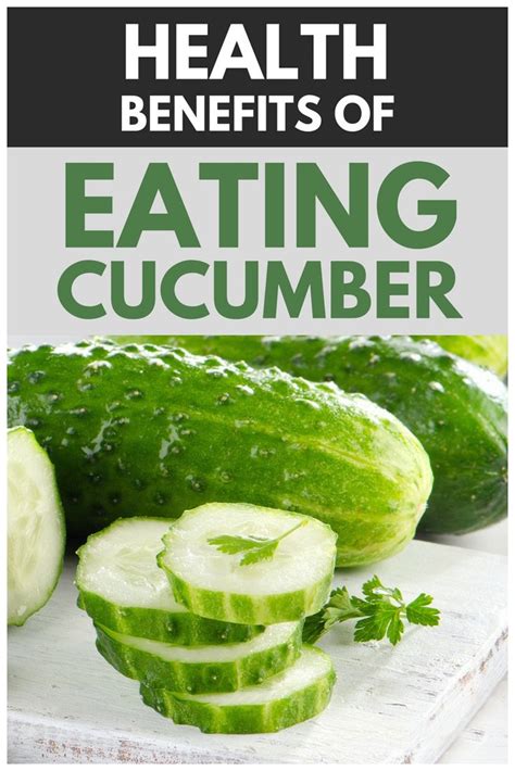 Cucumber Benefits And Its Role In Our Life Cucumber