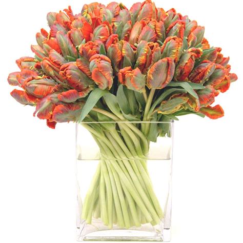 Stunningly Simple Parrot Tulips Tulips Arrangement Tulips In Vase