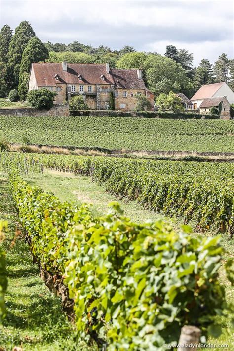 France Country South Of France Burgundy France Burgundy Wine