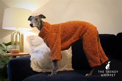 Teddy Bear Fluffy Whippet Greyhound Onesie Italian Lurcher