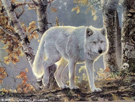 Custom Famous Acrylic Painted Snow Wolf Portrait Painting Acrylic