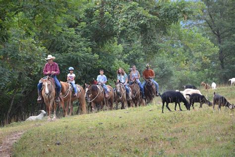 Horseback Riding In Arkansas Ozark Mountain Trail Rides