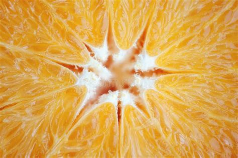 Orange Background From Slice Of An Orange Fruit Texture Stock Image