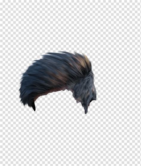 126 transparent png illustrations and cipart matching picsart photo studio. شعر أسود ، تحرير PicsArt Studio ، رجل شعر PNG