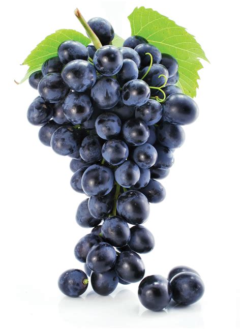 Velez Grapes Management And Leadership