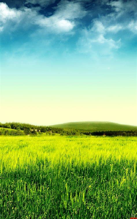 Green Field Mobile Wallpapers Wallpaper Cave